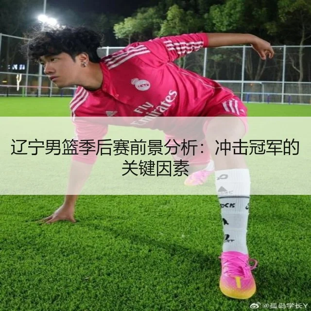 辽宁男篮季后赛前景分析：冲击冠军的关键因素